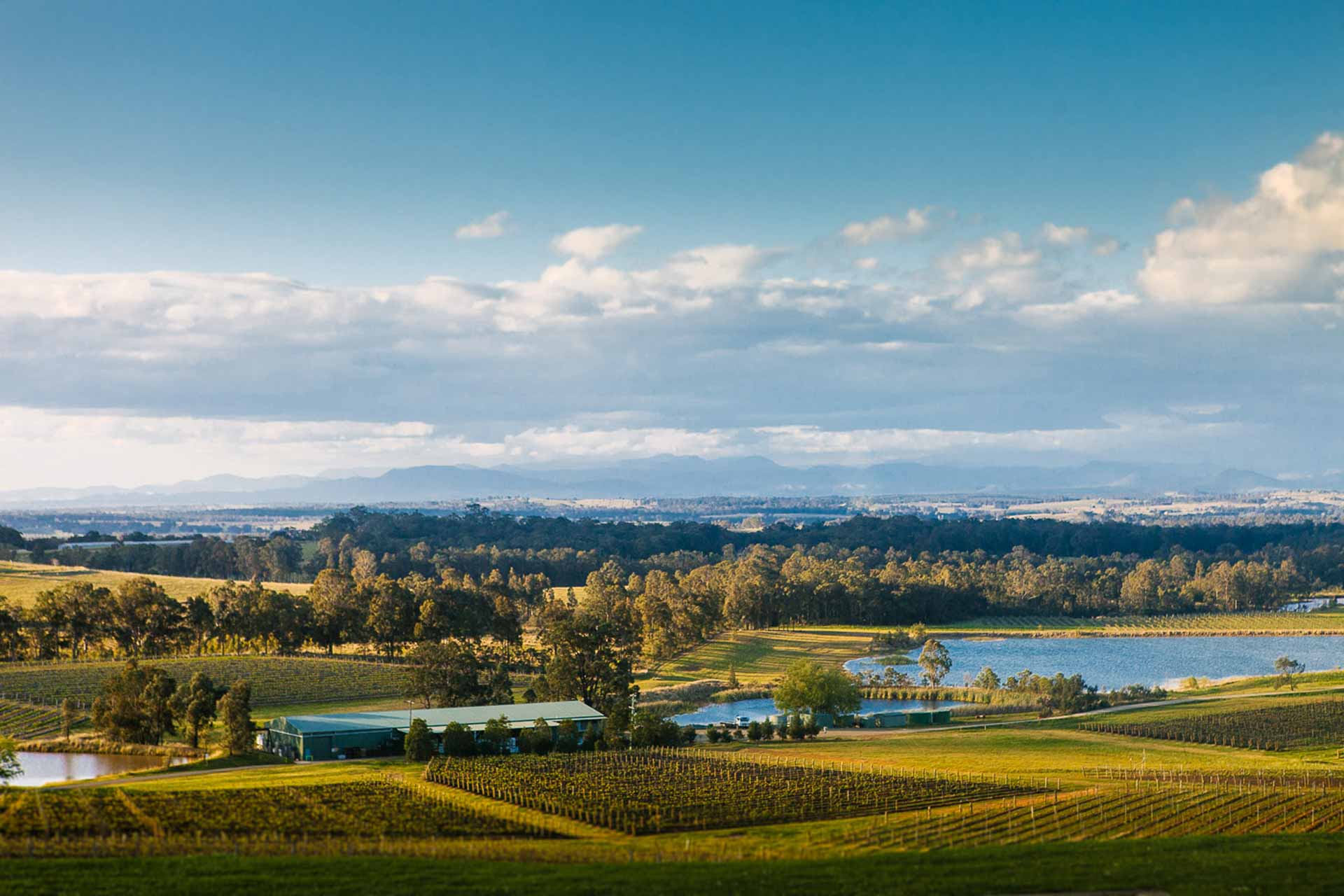 Living in Huntlee Real Estate North Rothbury