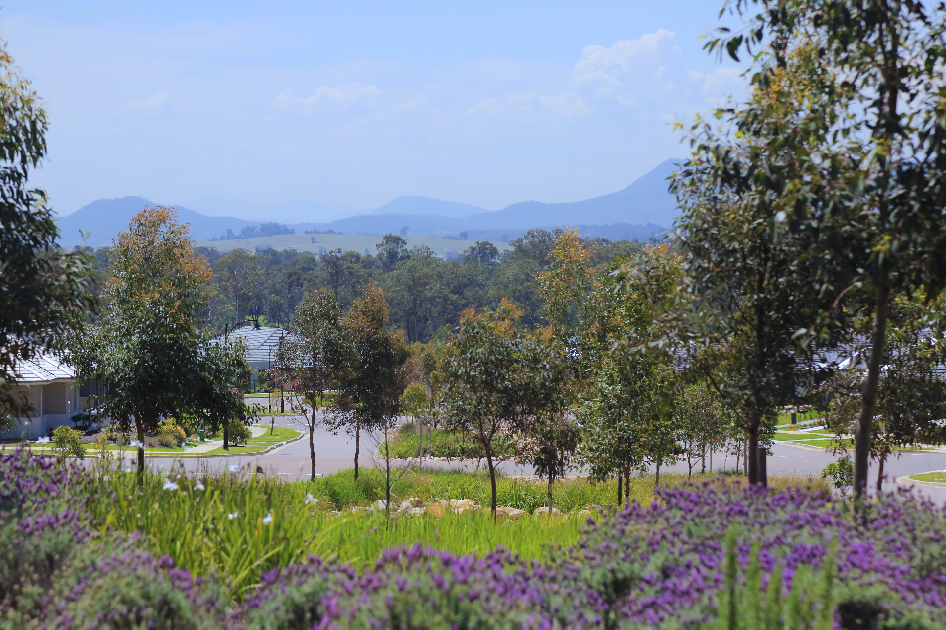 Houses For Sale & Real Estate Near North Rothbury Huntlee